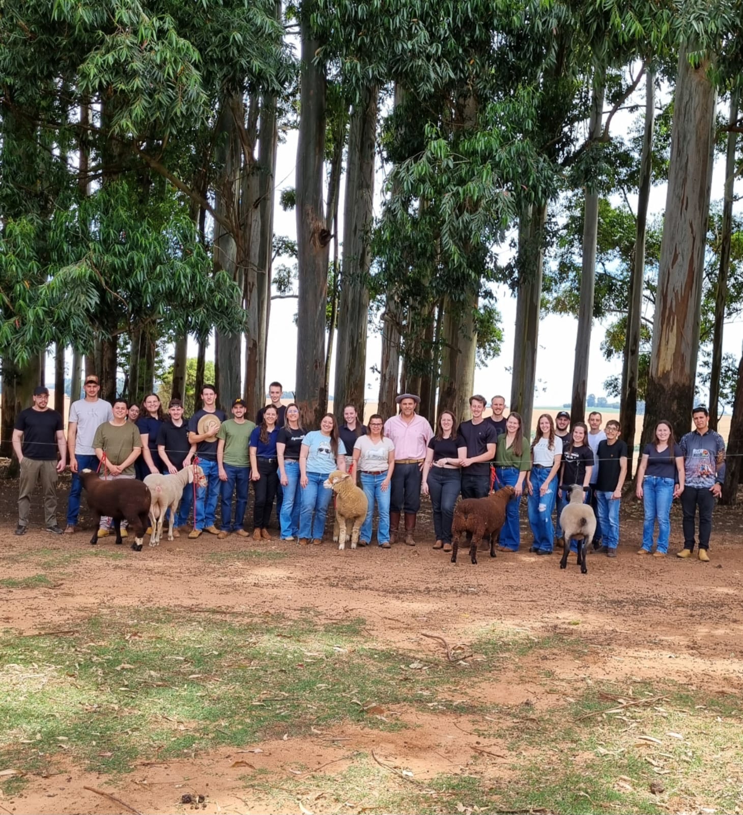 1 visita ovinocultura