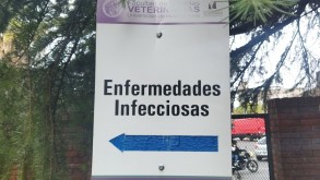  ESTUDANTE DO IFFAR/FW REALIZA INTERCÂMBIO NA UNIVERSIDADE DE BUENOS AIRES